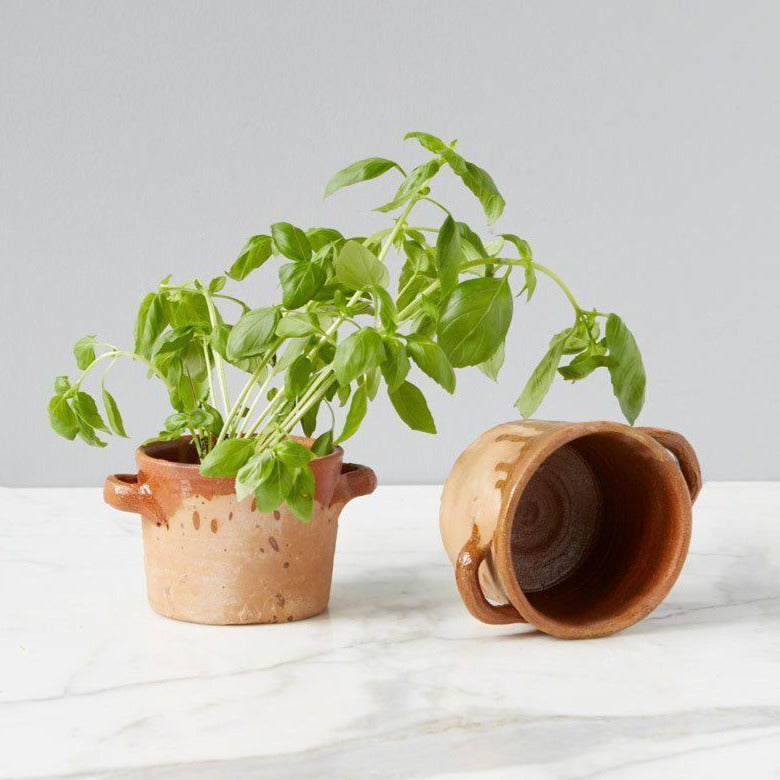 thyme plant pot Thyme Herb Pot – Little Red Barn Door