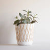 Rattan Woven Planter