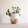 Tala Planter