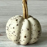 Mini Ceramic Pumpkins