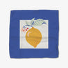 Summer Fruity Dishcloth Set