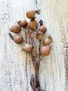 18" Rustic Berry Stem