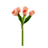 13" Bundle: Real Touch Tulip