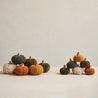 Cotton Blend Bouclé Pumpkin w/ Wood Stem