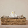 Bisque Ghost with LED Light