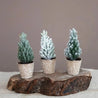 Faux Pine Tree in Paper Pot