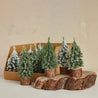 Faux Evergreen Trees with Natural Wood Slice Bases
