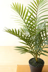 Artificial Areca Palm Tree Pot