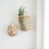 Onion Basket