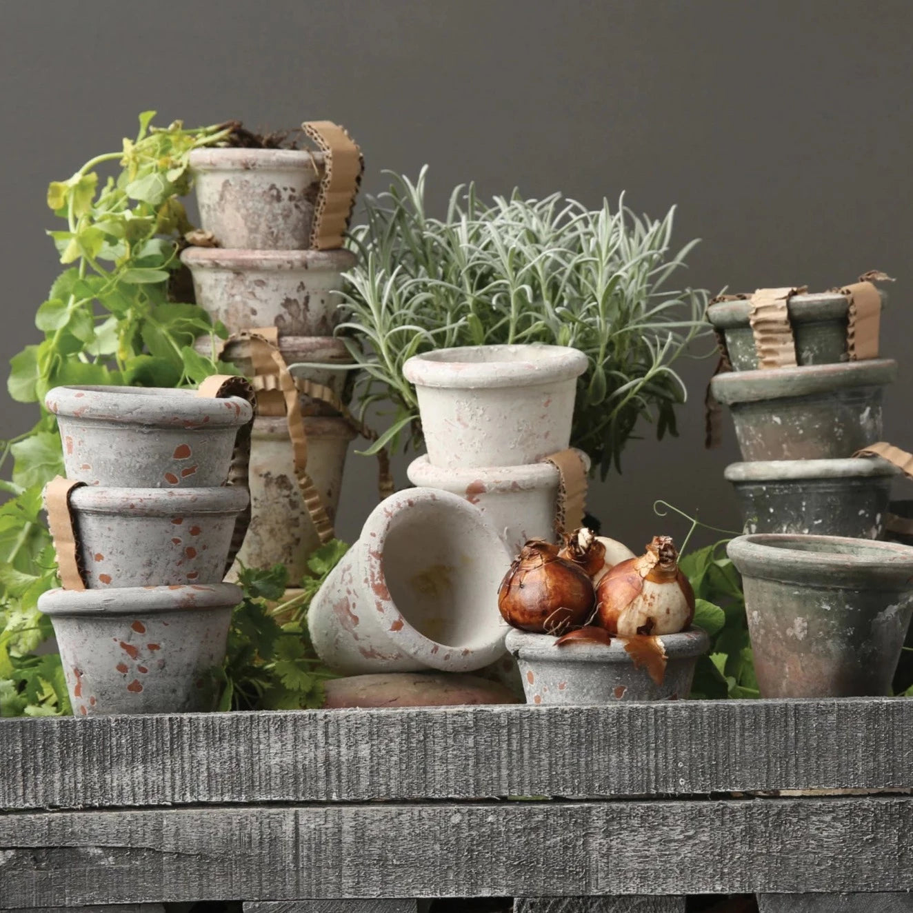 distressed plant pots 3" Distressed Clay Planter