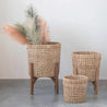 Hand-Woven Planter with Wood Stand