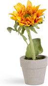 Potted Sunflowers
