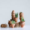 Mini Terracotta Planter