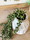 String of Pearls Succulent Strand (Faux) - Little Red Barn Door