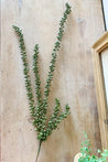 String of Pearls Succulent Strand (Faux) - Little Red Barn Door